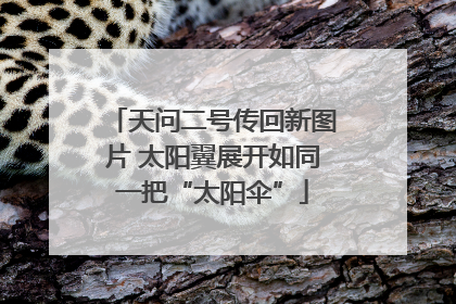 天问二号传回新图片 太阳翼展开如同一把“太阳伞”