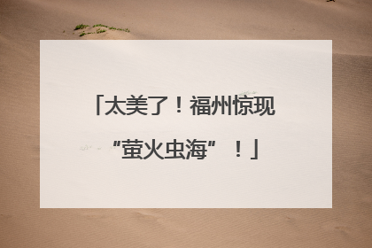 太美了！福州惊现“萤火虫海”！