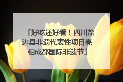 好吃还好看！四川盐边县非遗代表性项目亮相成都国际非遗节