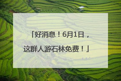 好消息！6月1日，这群人游石林免费！