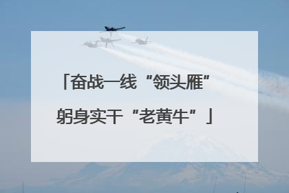 奋战一线“领头雁” 躬身实干“老黄牛”
