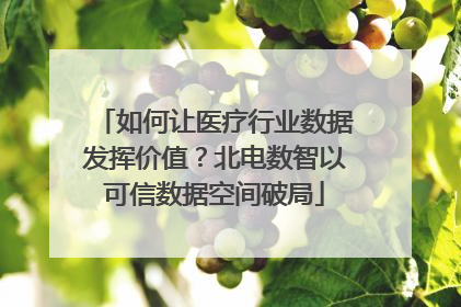 如何让医疗行业数据发挥价值？北电数智以可信数据空间破局