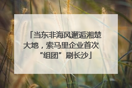 当东非海风邂逅湘楚大地，索马里企业首次“组团”刷长沙
