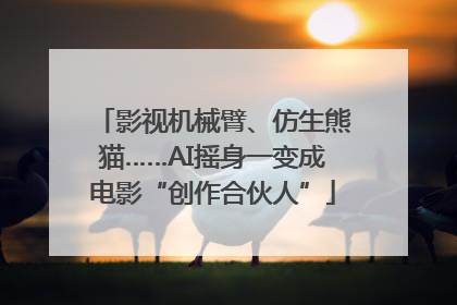 影视机械臂、仿生熊猫……AI摇身一变成电影“创作合伙人”