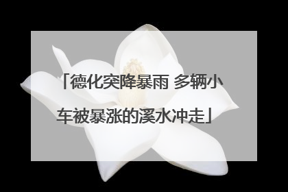 德化突降暴雨 多辆小车被暴涨的溪水冲走