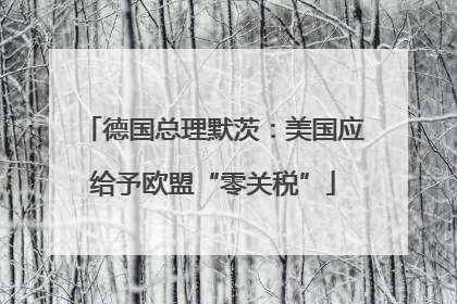 德国总理默茨：美国应给予欧盟“零关税”