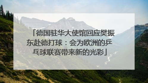 德国驻华大使馆回应樊振东赴德打球：会为欧洲的乒乓球联赛带来新的光彩