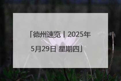 德州速览丨2025年5月29日 星期四