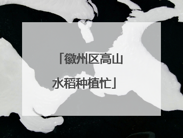 徽州区高山水稻种植忙