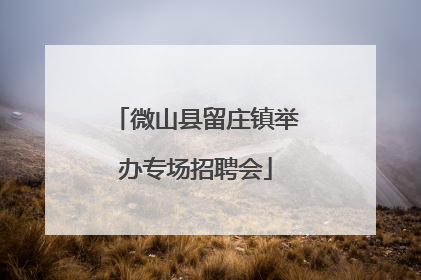 微山县留庄镇举办专场招聘会