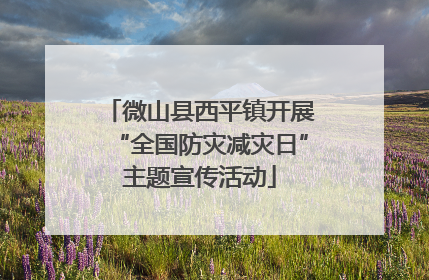 微山县西平镇开展“全国防灾减灾日”主题宣传活动