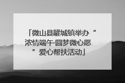 微山县驩城镇举办“浓情端午·圆梦微心愿”爱心帮扶活动