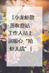 小龙虾散落收费站 工作人员上演暖心“抢虾大战”