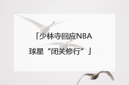 少林寺回应NBA球星“闭关修行”