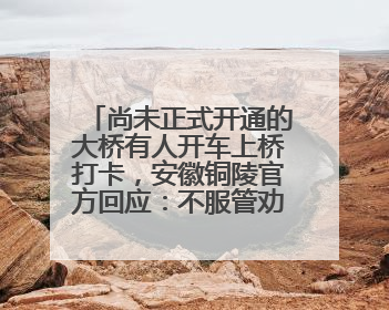 尚未正式开通的大桥有人开车上桥打卡，安徽铜陵官方回应：不服管劝擅自进入，已采取措施