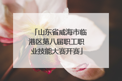 山东省威海市临港区第八届职工职业技能大赛开赛