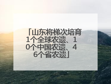 山东将梯次培育1个全球农遗、10个中国农遗、46个省农遗