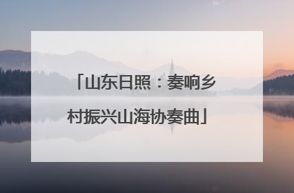 山东日照：奏响乡村振兴山海协奏曲