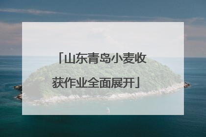 山东青岛小麦收获作业全面展开