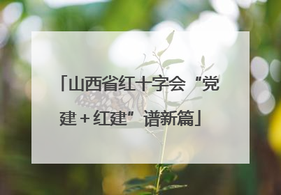 山西省红十字会“党建＋红建”谱新篇