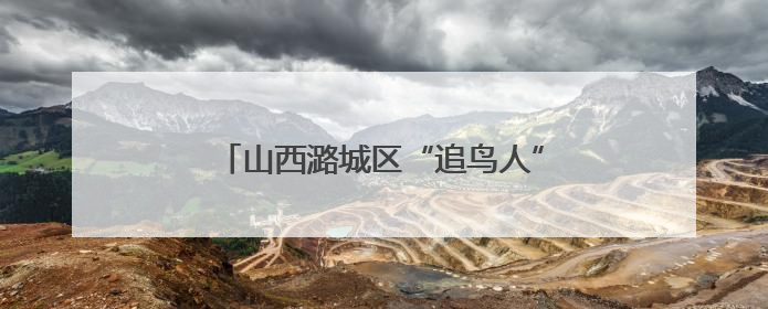 山西潞城区“追鸟人”：镜头定格生态蝶变