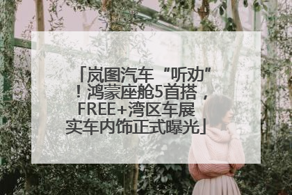 岚图汽车“听劝”！鸿蒙座舱5首搭，FREE+湾区车展实车内饰正式曝光