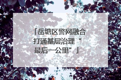岳塘区警网融合 打通基层治理“最后一公里”