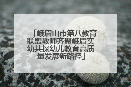 峨眉山市第八教育联盟教师齐聚峨眉实幼共探幼儿教育高质量发展新路径