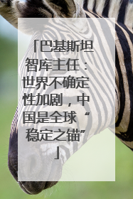 巴基斯坦智库主任：世界不确定性加剧，中国是全球“稳定之锚”