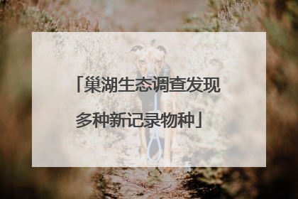 巢湖生态调查发现多种新记录物种