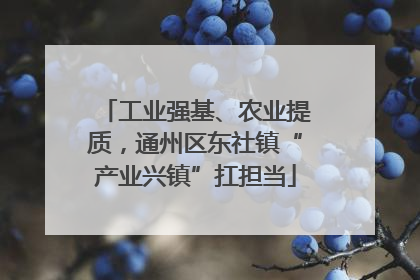 工业强基、农业提质，通州区东社镇“产业兴镇”扛担当