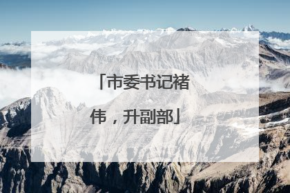市委书记褚伟，升副部
