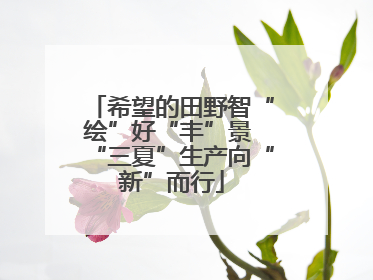 希望的田野智“绘”好“丰”景 “三夏”生产向“新”而行
