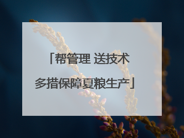 帮管理 送技术 多措保障夏粮生产