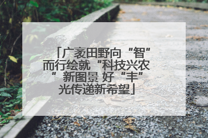 广袤田野向“智”而行绘就“科技兴农”新图景 好“丰”光传递新希望