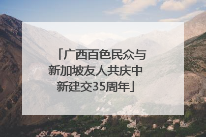 广西百色民众与新加坡友人共庆中新建交35周年