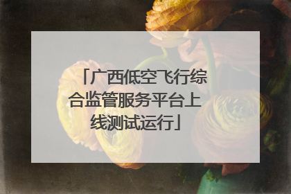 广西低空飞行综合监管服务平台上线测试运行