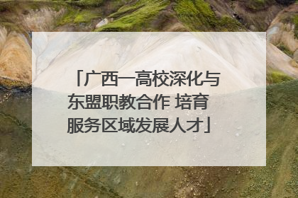 广西一高校深化与东盟职教合作 培育服务区域发展人才