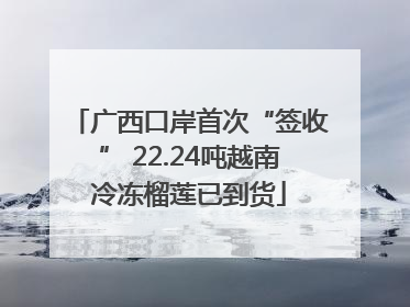 广西口岸首次“签收” 22.24吨越南冷冻榴莲已到货