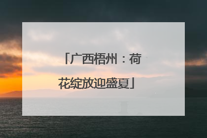 广西梧州：荷花绽放迎盛夏