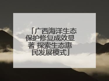 广西海洋生态保护修复成效显著 探索生态惠民发展模式
