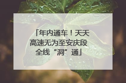 年内通车！天天高速无为至安庆段全线“洞”通