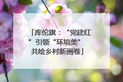 库伦旗：“党建红”引领“环境美” 共绘乡村新画卷