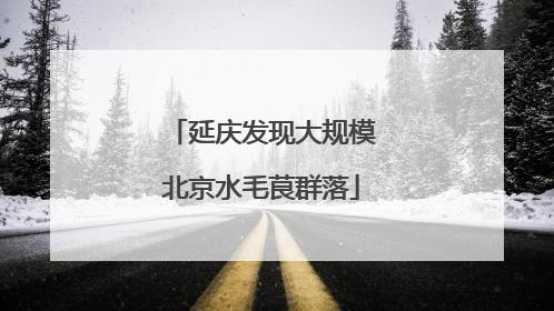 延庆发现大规模北京水毛茛群落