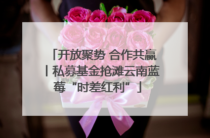 开放聚势 合作共赢丨私募基金抢滩云南蓝莓“时差红利”
