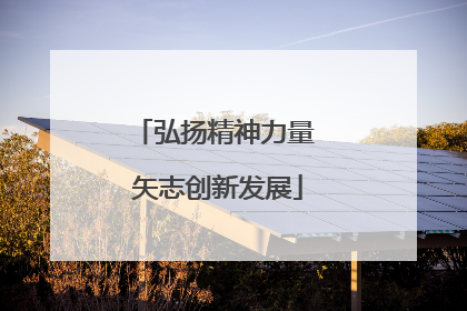 弘扬精神力量 矢志创新发展