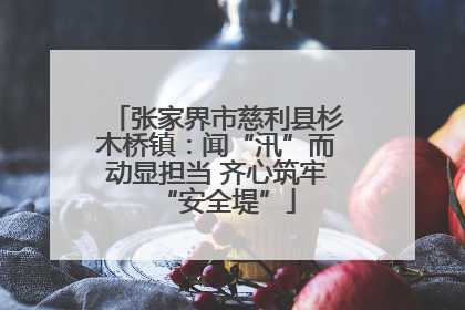 张家界市慈利县杉木桥镇：闻“汛”而动显担当 齐心筑牢“安全堤”
