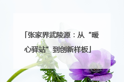 张家界武陵源：从“暖心驿站”到创新样板