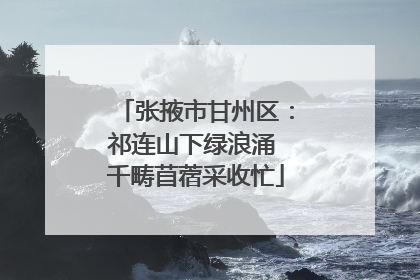 张掖市甘州区：祁连山下绿浪涌 千畴苜蓿采收忙
