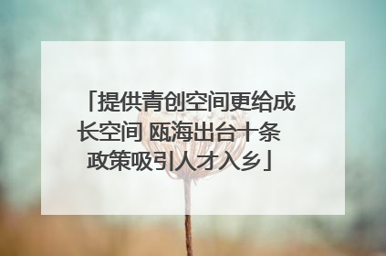 提供青创空间更给成长空间 瓯海出台十条政策吸引人才入乡